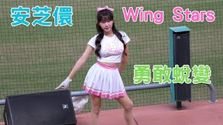 安芝儇 勇敢蛻變 Wing Stars 台鋼雄鷹 中華職棒 中職