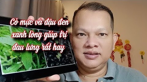 Cỏ mực và đậu đen xanh lòng giúp trị đau lưng suy thận rất hay rất tuyệt vời. Nam Dược 1977