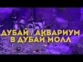 ДУБАЙ 2020 / Аквариум в Дубай Молл / Пингвины в аквариуме