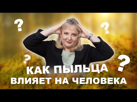 Полезно ли есть пыльцу? Как она влияет на здоровье человека?