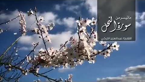 طيّب مسمعك ما تيسر من سورة النحل القارئ عبدالعزيز التركي