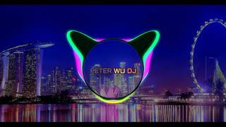 [最後的夜] Zui Hou De Ye Remix