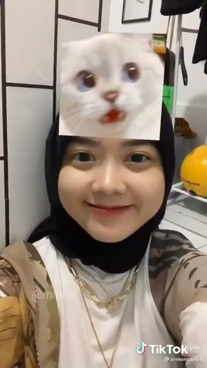 I don't care (cat filter TikTok)