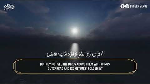 67 Surah Al Mulk القارئ شريف مصطفي سورة الملك   راحه وسكينة