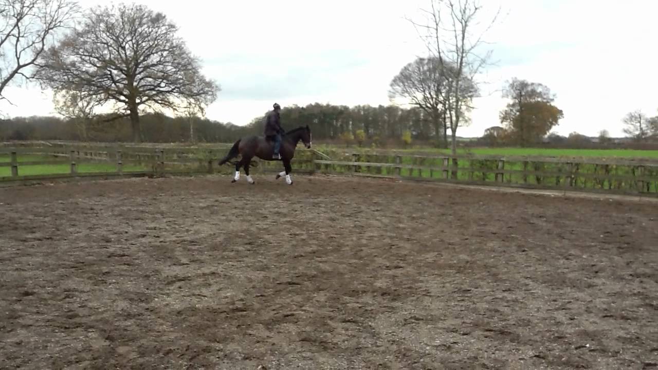 milly at kates (kate riding) - YouTube