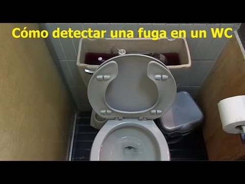 Video: ¿Qué prueba la tasa de fuga?