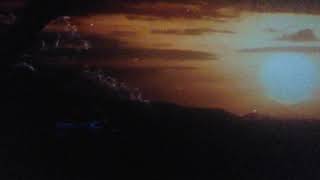 The lion king 2019: this land