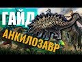 ПРИРУЧЕНИЕ АНКИЛОЗАВРА! #ГАЙД ДЛЯ НОВИЧКОВ! Ark: Survival Evolved #9