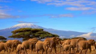 اعلى قمة فى افريقيا جبل كليمنجارو | Mt Kilimanjaro |  Africa