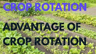 Crop rotation in hindi | advantages of crop rotation | DARSHAN CLASSES