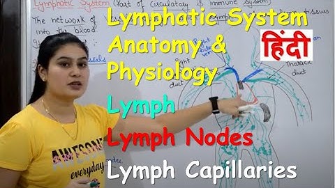 Lymphatic System in Hindi | Lymph | Lymph Nodes | Lymph Vessels | Anatomy & Physiology