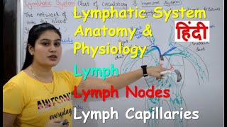 Lymphatic System in Hindi | Lymph | Lymph Nodes | Lymph Vessels | Anatomy & Physiology
