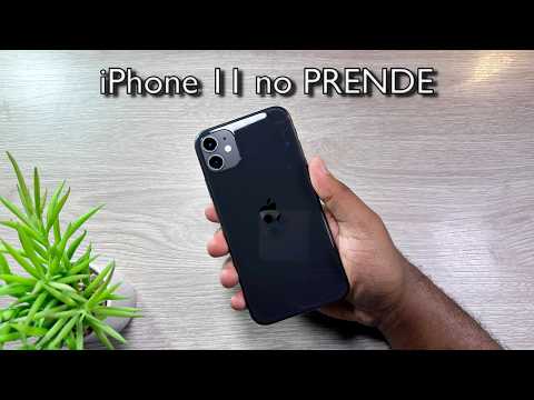 RECUPERE el iPhone