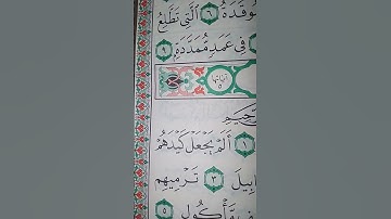 ما معنى "ألم يجعل كيدهم فى تضليل"#سورة #الفيل