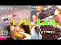 【特集】北海道で「あんぱん」旅！工場見学も！