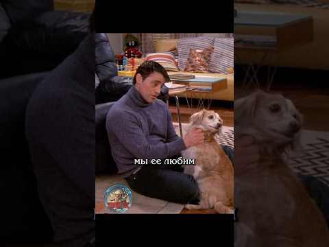 🥰 Быть влюбленным #сериал #отношения #юмор #friends