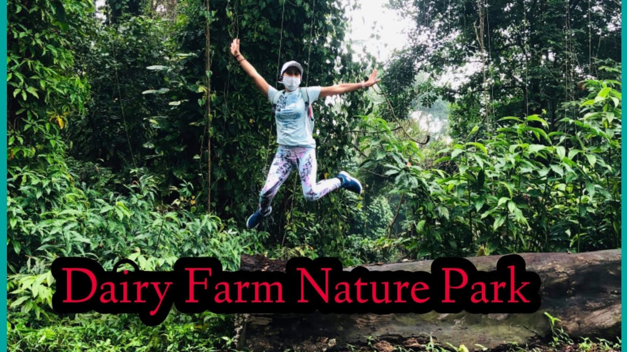 DAIRY FARM NATURE PARK/SINGAPORE QUARRY YouTube