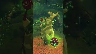 What's The Most Annoying NPC in Botw? #shorts