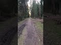 Bicycle trip #bicycle  #nature