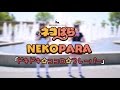 【ネコぱら】ドキドキ☆ココロ☆フレーバーNEKOPARA DANCE 【歌って踊ってみた】