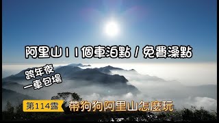 阿里山11個車泊點免費澡點帶狗狗去阿里山怎麼玩跨年夜的阿里山祕境一車包場菱利A180露營車改裝【第114露阿里山車泊】