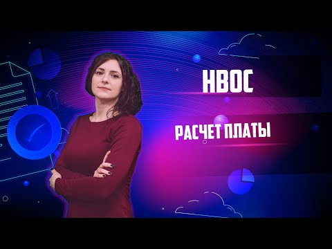 Как заполнить декларацию платы за НВОС в личном кабинете природопользователя