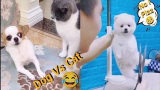 Dog Vs Cat 🤣 _ BABY DOGS - CUTE AND FUNNY VIDEOS COMPILATION 🥺 #25 CUTENESS OVERLOAD 😍_Animals World