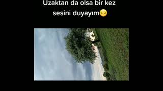 Sensiz Geçen Şu Ömrümü Söyle Neyleyim... Resimi