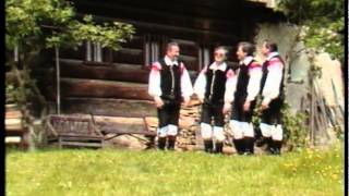 Ansambel Lojzeta Slaka - Moj Dom Official Video