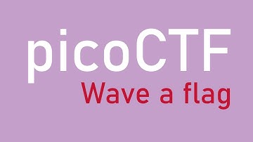picoCTF - Wave a flag