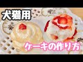 犬猫が食べれる‼️超簡単ミニケーキの作り方