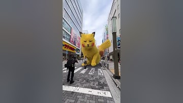 pikachu khổng lồ đáng yêu  #tryneverfail #trending #tryandfail