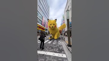 pikachu khổng lồ đáng yêu  #tryneverfail #trending #tryandfail
