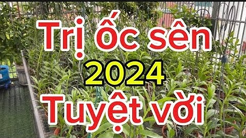 Cách diệt ốc sên gây hại lan phi điệp năm 2024 ngắn gọn nhất