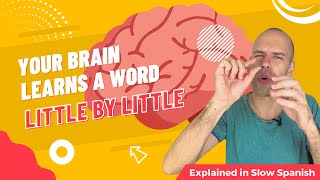 Smallest step to learn a language - Beginner Spanish