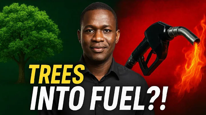 Africa Genius Invented Free Fuel From Trees - They Want Him Dead!