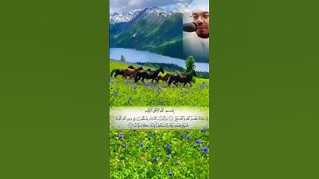 الشيخ ياسر الدوسري في تلاوة مهيبة لسورة النصر:""إذا جاء نصر الله والفتح ورأيت الناس يدخلون في ....""