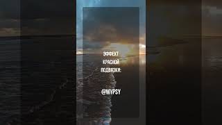 Факты о психологии психология tiktok psychology факты психологические chillhop essentials