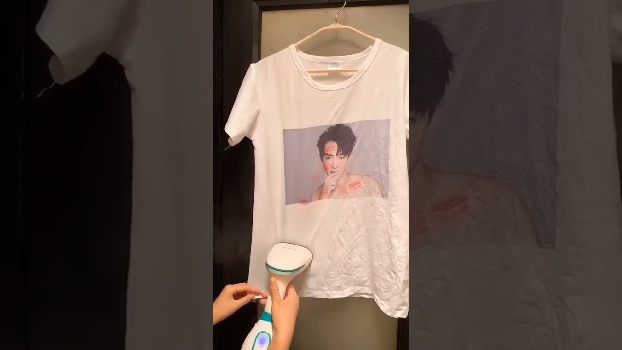 Garment Steamer Clothes Facial Steamer for Face and Nose