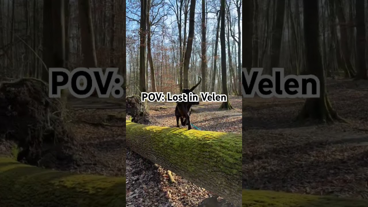 Lost in Velen…