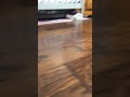 RAAHRRHAA