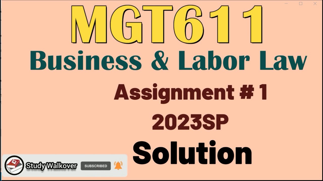 mgt611 assignment solution 2023