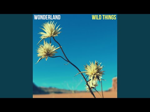 Watch Sundance on YouTube