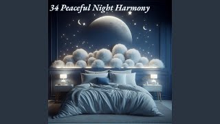 Night Before The Next Day