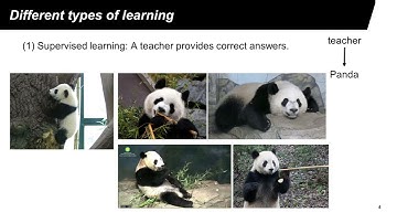 Lecture 4/A Machine Learning, Computer Vision for Embedded Systems