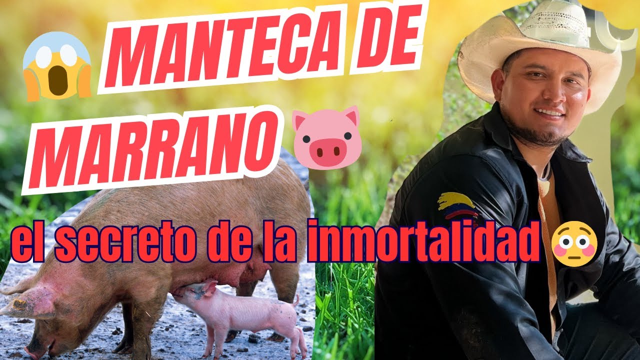 Manteca de marrano 🐷 cerrero ( salvaje ) 😱 el secreto de la inmortalidad 😳✍️