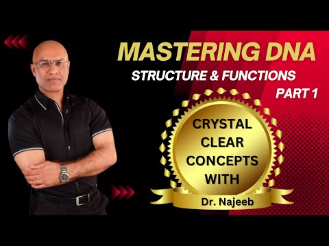 dr najeeb lectures youtube
