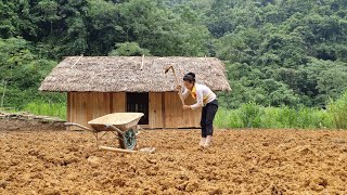 Clean the old house, make the garden - Farm life - Lý Thị Sai