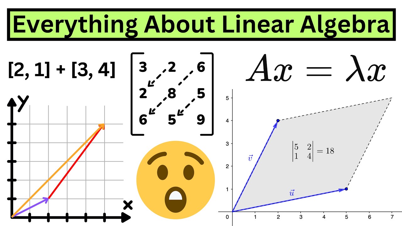 Everything About Linear Algebra in 10 minutes