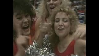 Rebels on the Run: The Rise and Fall of UNLV Basketball